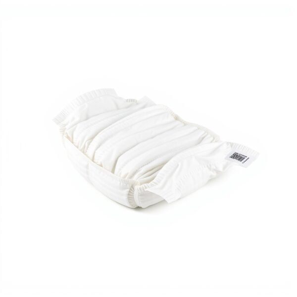 Adult Diapers Pack of 10 Large