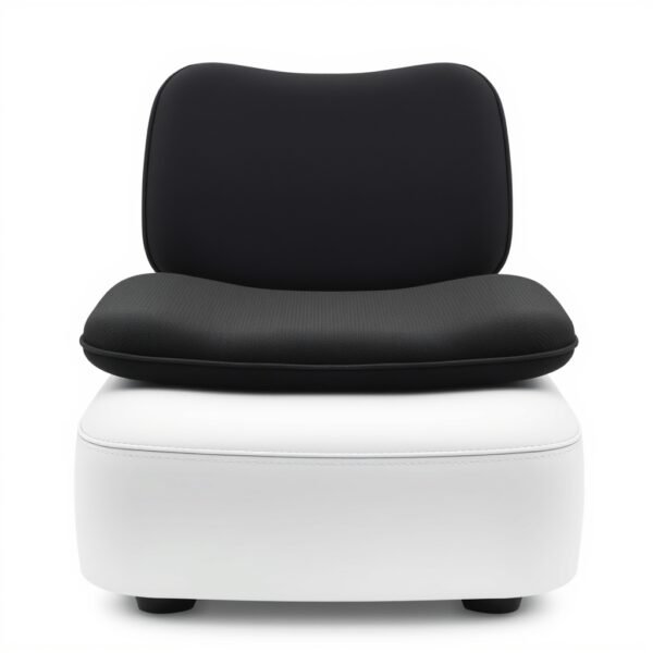 Orthopedic Back Cushion Seat
